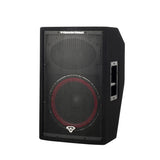 CVI 12" 2-Way Full Range Stage Monitor