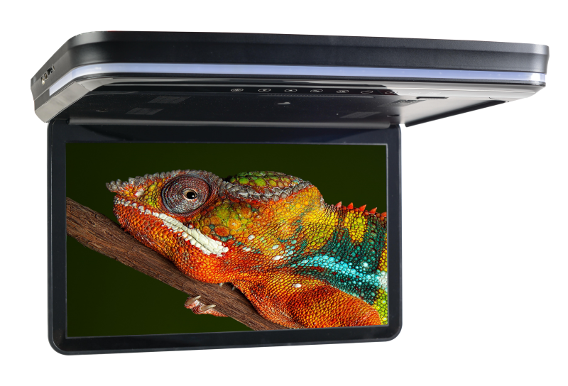 Concept CFD-158M - Chameleon 15.6" Overhead Video with Wireless Screencasting and DVD
